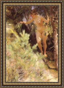 Nude on a Sofa Framed Paintings - Naken under en gran [Nude under a fir] by Anders Zorn